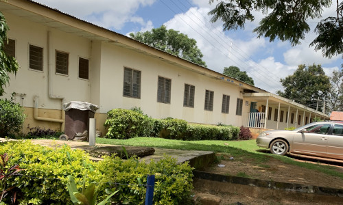 Buildings Renovation