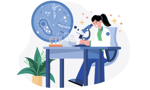Medical Research at BHUTH