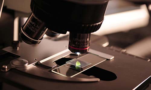 Research & Development